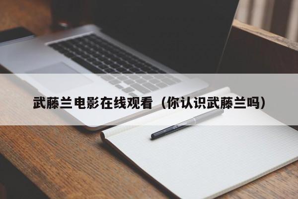 武藤兰电影在线观看（你认识武藤兰吗）