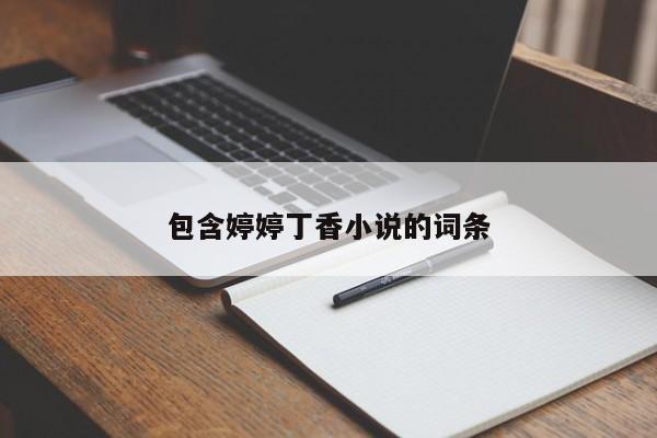 包含婷婷丁香小说的词条