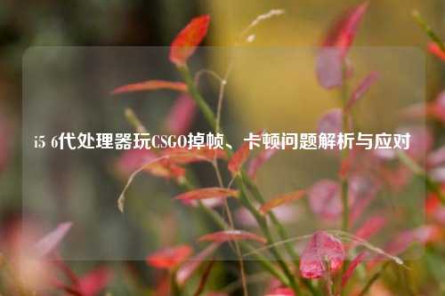 i5 6代处理器玩CSGO掉帧、卡顿问题解析与应对