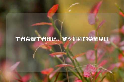 王者荣耀王者印记，赛季征程的荣耀见证