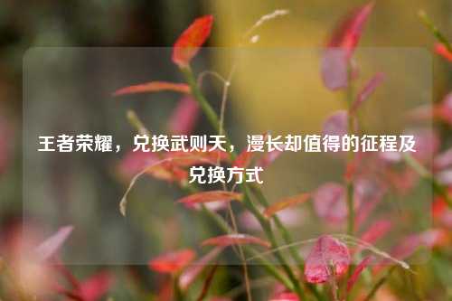 王者荣耀，兑换武则天，漫长却值得的征程及兑换方式