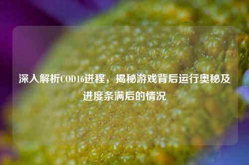 深入解析COD16进程，揭秘游戏背后运行奥秘及进度条满后的情况