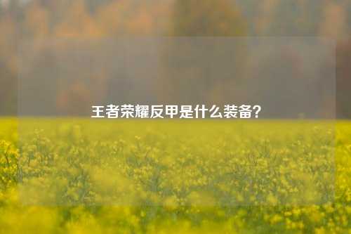 王者荣耀反甲是什么装备？