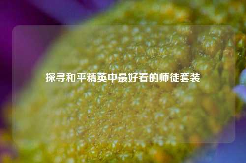 探寻和平精英中更好看的师徒套装