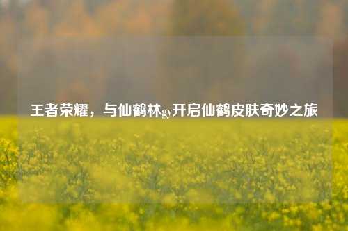 王者荣耀，与仙鹤林gy开启仙鹤皮肤奇妙之旅