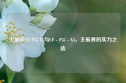 七彩虹CF P35 X7与CF - P35 - X3，主板界的实力之选