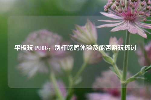 平板玩 PUBG，别样吃鸡体验及能否游玩探讨