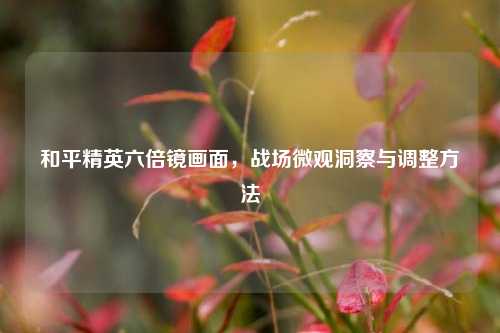 和平精英六倍镜画面，战场微观洞察与调整     