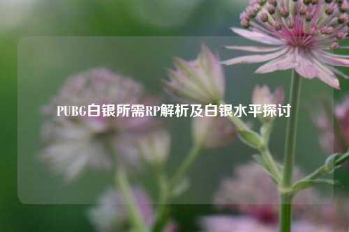 PUBG白银所需RP解析及白银水平探讨