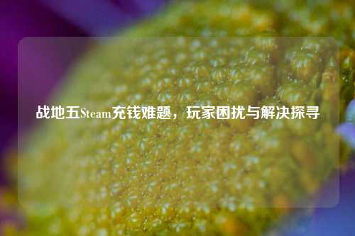 战地五Steam充钱难题，玩家困扰与解决探寻