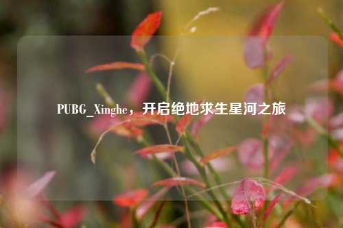 PUBG_Xinghe，开启绝地求生星河之旅
