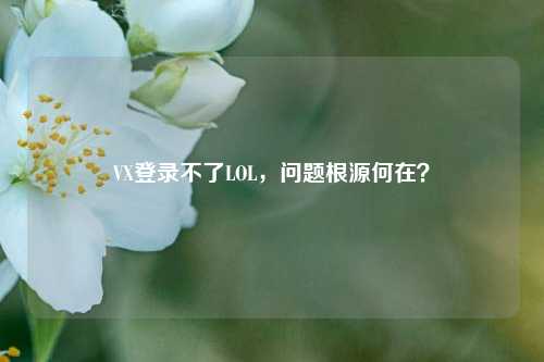 VX登录不了LOL，问题根源何在？