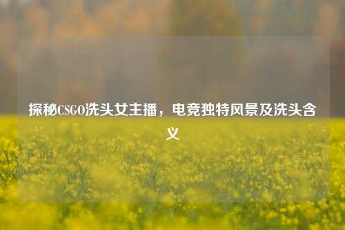 探秘CSGO洗头女主播，电竞独特风景及洗头含义