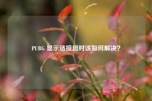 PUBG 显示链接超时该如何解决？