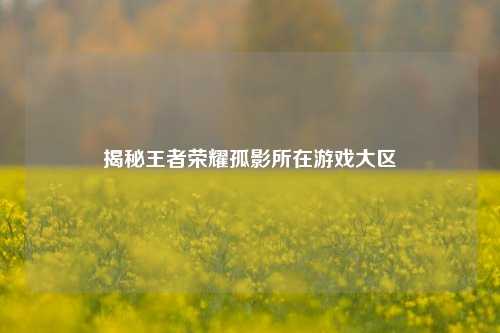 揭秘王者荣耀孤影所在游戏大区
