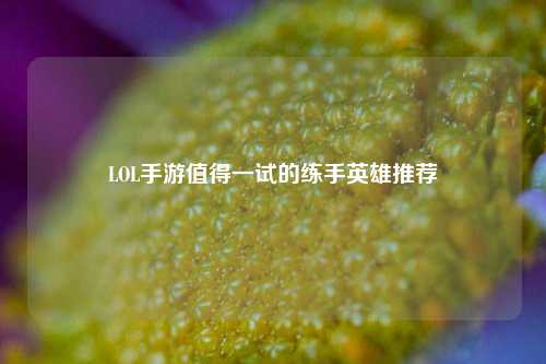 LOL手游值得一试的练手英雄推荐
