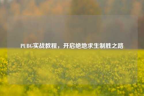 PUBG实战教程，开启绝地求生制胜之路