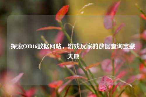 探索COD16数据网站，游戏玩家的数据查询宝藏天地