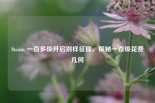 Steam 一百多级开启别样征程，探秘一百级花费几何