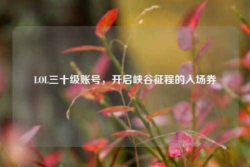 LOL三十级账号，开启峡谷征程的入场券