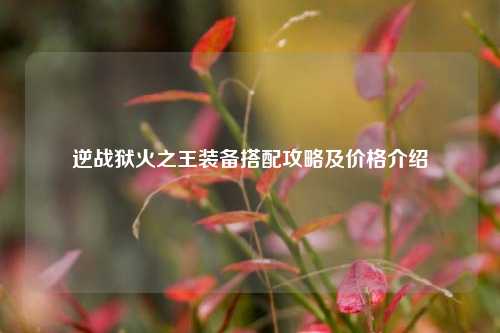 逆战狱火之王装备搭配攻略及价格介绍