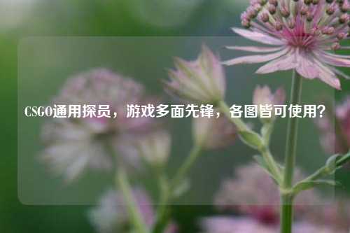 CSGO通用探员，游戏多面先锋，各图皆可使用？