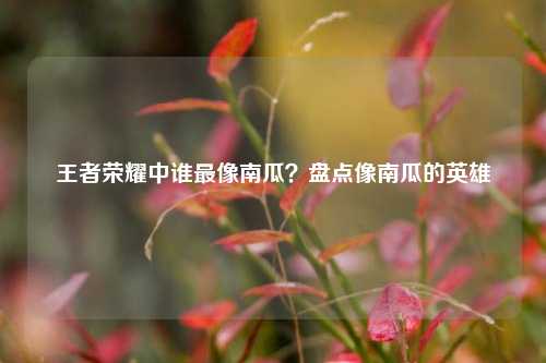 王者荣耀中谁最像南瓜？盘点像南瓜的英雄