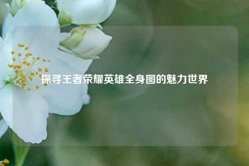 探寻王者荣耀英雄全身图的魅力世界
