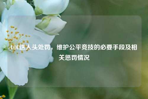 LOL送人头处罚，维护公平竞技的必要手段及相关惩罚情况