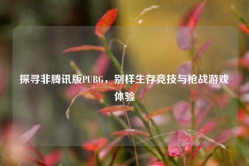 探寻非腾讯版PUBG，别样生存竞技与枪战游戏体验