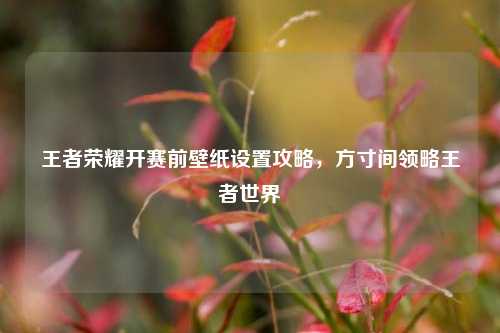 王者荣耀开赛前壁纸设置攻略，方寸间领略王者世界