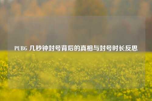 PUBG 几秒钟封号背后的真相与封号时长反思