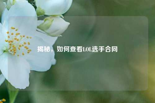 揭秘，如何查看LOL选手合同