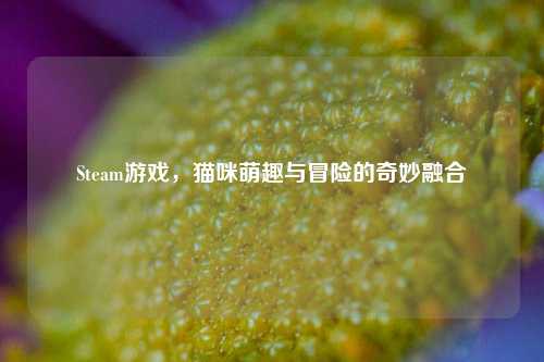 Steam游戏，猫咪萌趣与冒险的奇妙融合