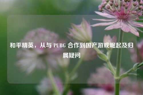 和平精英，从与 PUBG 合作到国产游戏崛起及归属疑问