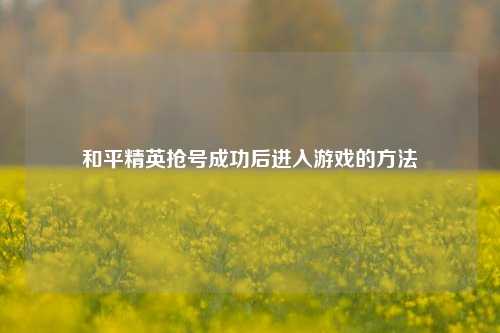 和平精英抢号成功后进入游戏的     