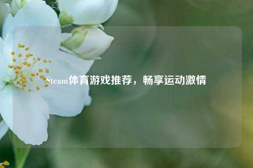 Steam体育游戏推荐，畅享运动激情