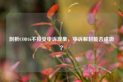 剖析COD16不接受申诉现象，申诉解封能否成功？