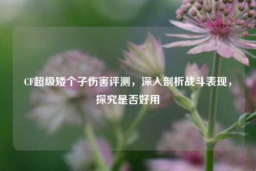 CF超级矮个子伤害评测，深入剖析战斗表现，探究是否好用