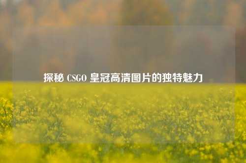 探秘 CSGO 皇冠高清图片的独特魅力